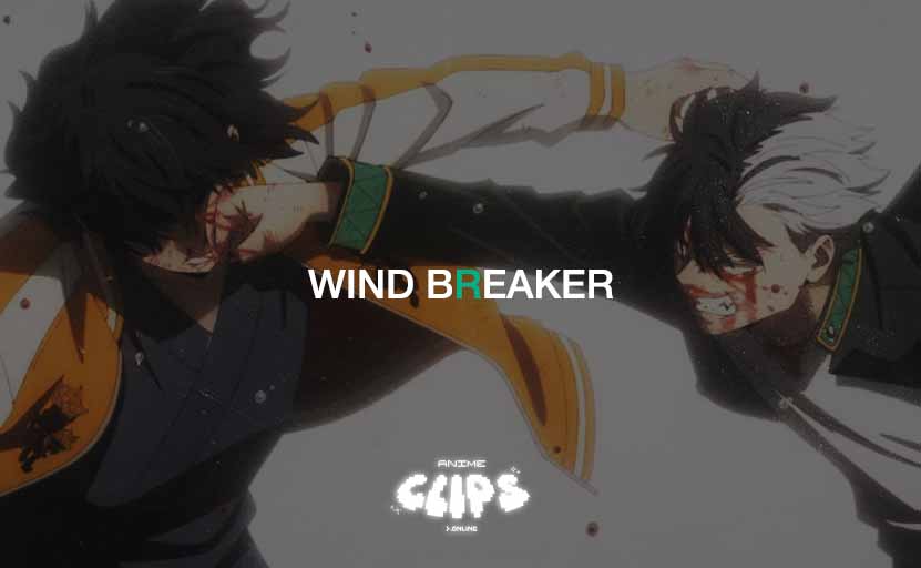 Wind Breaker